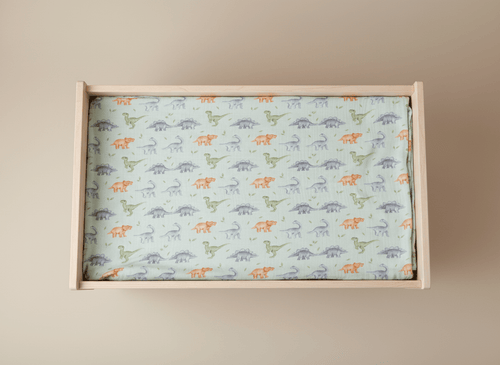 Light dinosaur-themed green baby blanket